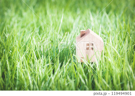 Wooden House Model Nestled in Fresh Grass: Symbolizing Harmony Between Nature and Home 119494901