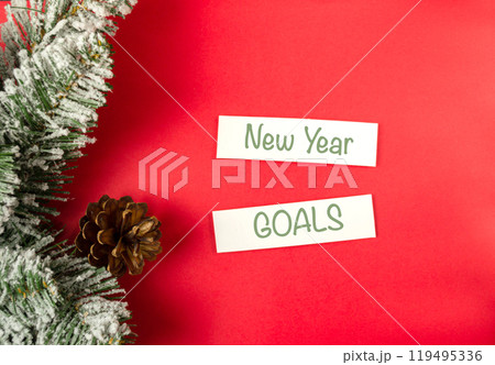 A red background with a pine cone and two white signs that say New Year Goals 119495336