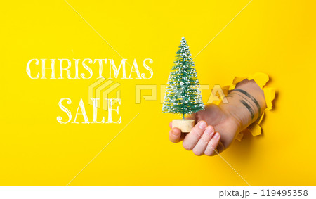 Hand holding a Christmas tree in front of a yellow background Hand holding a Christmas tree in front of a yellow background 119495358