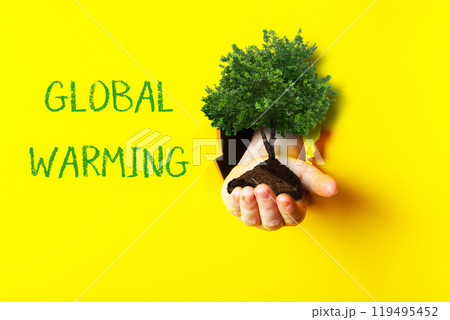 A hand holding a tree in front of a yellow background 119495452