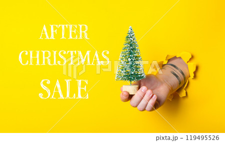 A hand holding a small Christmas tree in front of a yellow background A hand holding a small Christmas tree in front of a yellow background 119495526