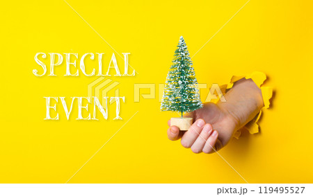 A hand holding a small Christmas tree in front of a yellow background A hand holding a small Christmas tree in front of a yellow background 119495527