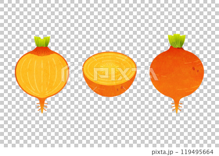 Yellow beets 119495664