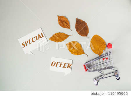 A carton of leaves with a sign that says Special Offer A carton of leaves with a sign that says Special Offer 119495966