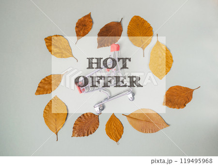 A shopping cart is surrounded by leaves 119495968