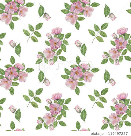 Rosa Canina flowers with pink petals, buds with lush green leaves. Seamless pattern. Watercolor hand painted clipart for fabric design, wrapping paper, or printable stationery for creative projects 119497227