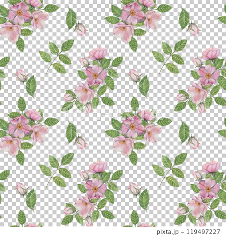 Rosa Canina flowers with pink petals, buds with lush green leaves. Seamless pattern. Watercolor hand painted clipart for fabric design, wrapping paper, or printable stationery for creative projects 119497227