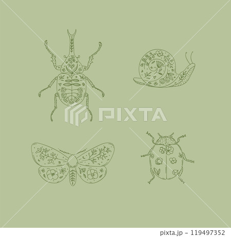 Beetles rhinoceros beetle, snail, moth, ladybug in floral style beige Beetles rhinoceros beetle, snail, moth, ladybug in floral style beige 119497352