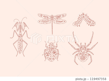 Beetles mantis, dragonfly, spider, caterpillar, insect in floral style pink Beetles mantis, dragonfly, spider, caterpillar, insect in floral style pink 119497358