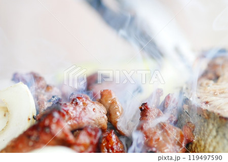 ホルモン焼肉屋　炭焼きバーベキュー 119497590