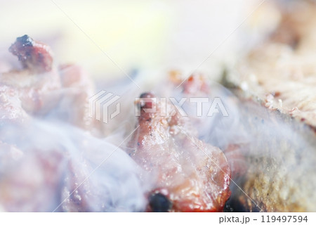 ホルモン焼肉屋　炭焼きバーベキュー 119497594