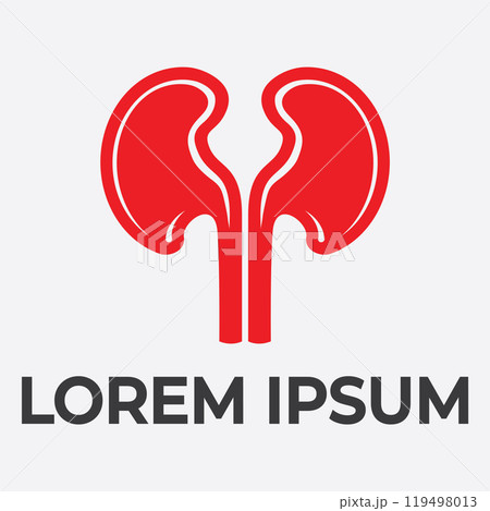 kidney vector illusrtation 119498013
