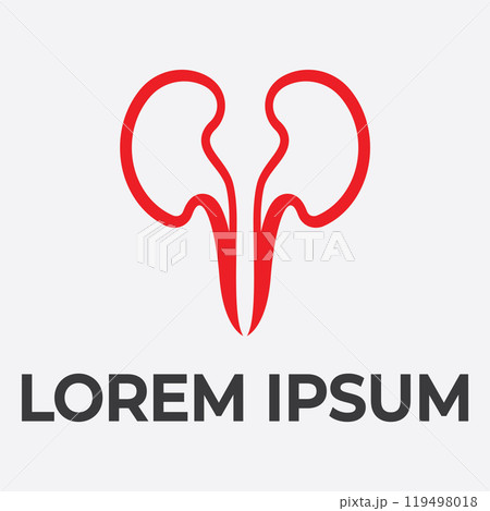 kidney vector illusrtation 119498018