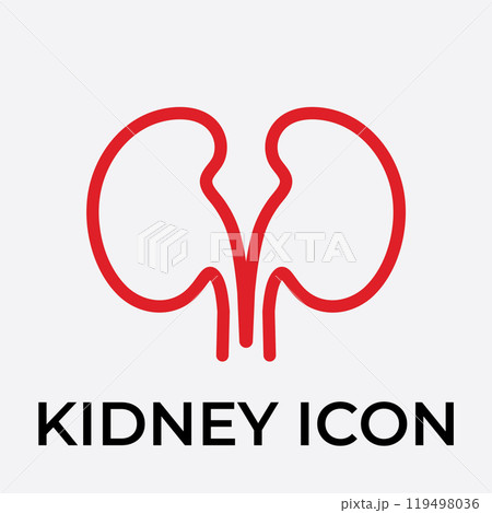 kidney vector illusrtation kidney vector illusrtation 119498036
