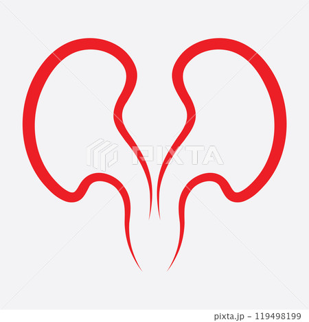 Kidney icon vector. 119498199