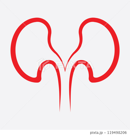 Kidney icon vector. 119498206