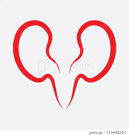 Kidney icon vector. 119498207