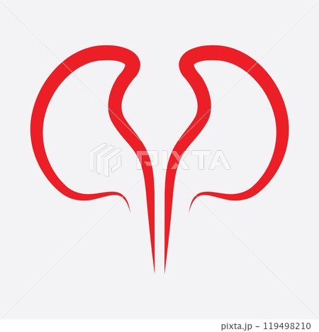 Kidney icon vector. 119498210
