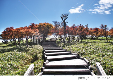 秋の大台ケ原 14 秋の大台ケ原 14 119498652