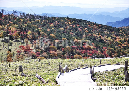 秋の大台ケ原 18 秋の大台ケ原 18 119498656