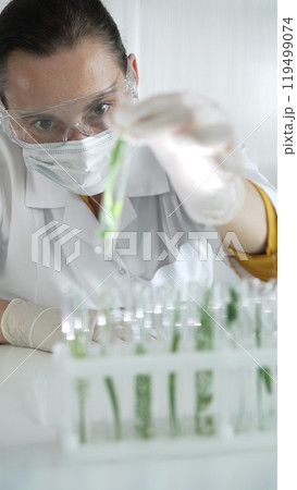 Woman scientist wearing a lab coat, white gloves, face mask and protective glasses, is holding a test tube with plants inside, vertical portrait view. Science and medicine 119499074