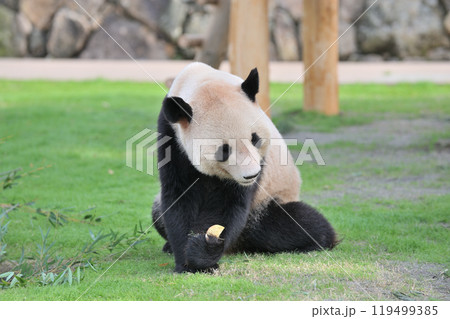 おやつをゲットした永浜 119499385