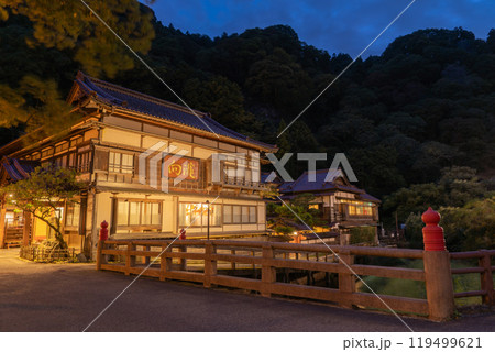 ライトアップされた東山温泉街 ライトアップされた東山温泉街 119499621