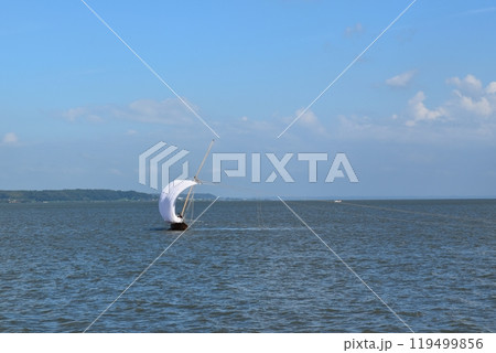 晴天の霞ヶ浦の帆引き船　茨城 119499856
