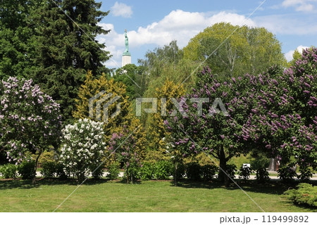 Bastejkalns park with the freedom monument in Riga, Latvia 119499892