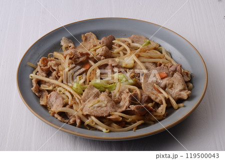 肉野菜炒め 肉野菜炒め 119500043