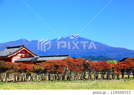 城輪柵跡(出羽国府推定地)　鳥海山麓紅葉 119500553