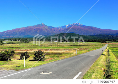 秋晴れの鳥海山　初冠雪と山麓紅葉 119500747