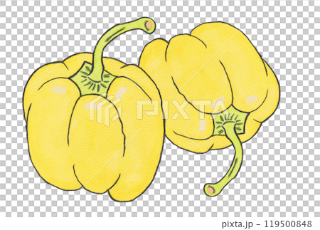 手描きの水彩画(絵手紙)「 黄色のパプリカ」二個 119500848