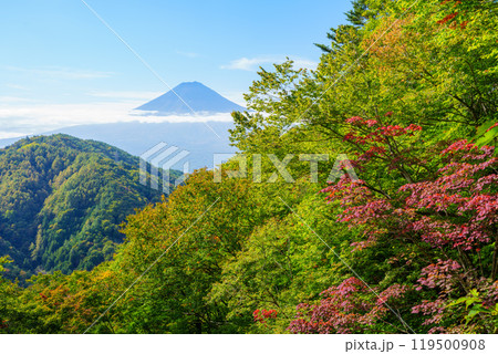 【山梨県】紅葉が始まった御坂路から望む富士山 119500908