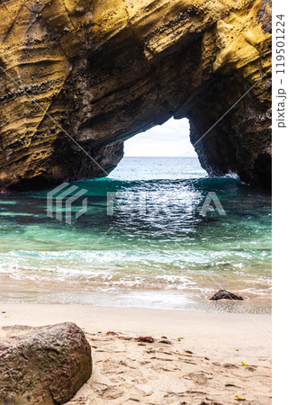 静岡県 龍宮窟の風景 静岡県 龍宮窟の風景 119501224