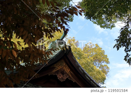 神社の屋根　(葛飾区 熊野神社) 119501584