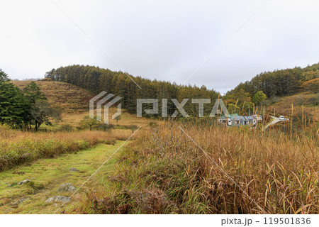 八島ヶ原湿原　霧ヶ峰　諏訪　長野県 119501836