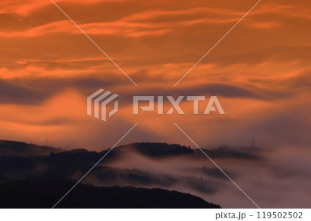 岩手県奥州市 夜明けの風景 岩手県奥州市 夜明けの風景 119502502