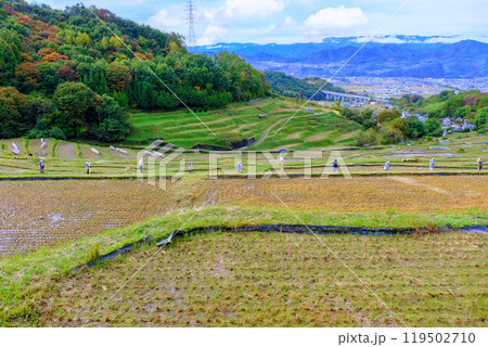 秋の棚田が広がる風景 119502710