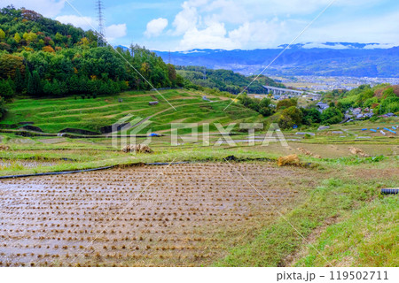 棚田のある風景 棚田のある風景 119502711