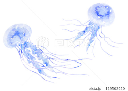 くらげのイラスト素材 [119502920] - PIXTA