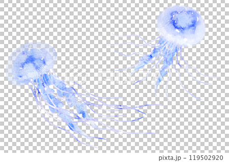 くらげのイラスト素材 [119502920] - PIXTA
