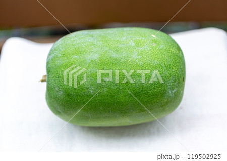 冬瓜 119502925
