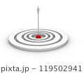 弓矢　矢が的に大当たり01 119502941