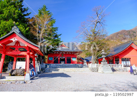 赤城神社境内 119502997
