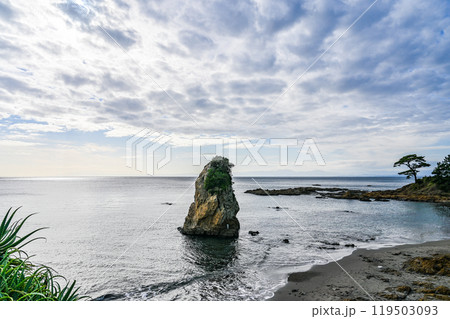 神奈川県横須賀市の立石公園 119503093