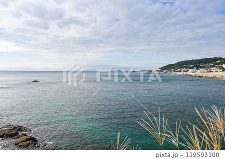 神奈川県横須賀市の立石公園 119503100