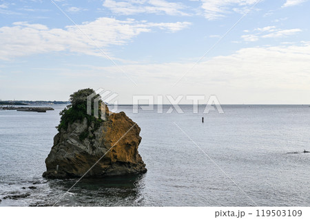 神奈川県横須賀市の立石公園 神奈川県横須賀市の立石公園 119503109
