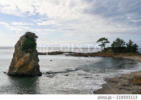 神奈川県横須賀市の立石公園 119503113