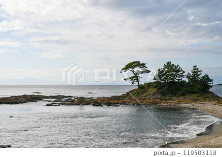 神奈川県横須賀市の立石公園 119503118